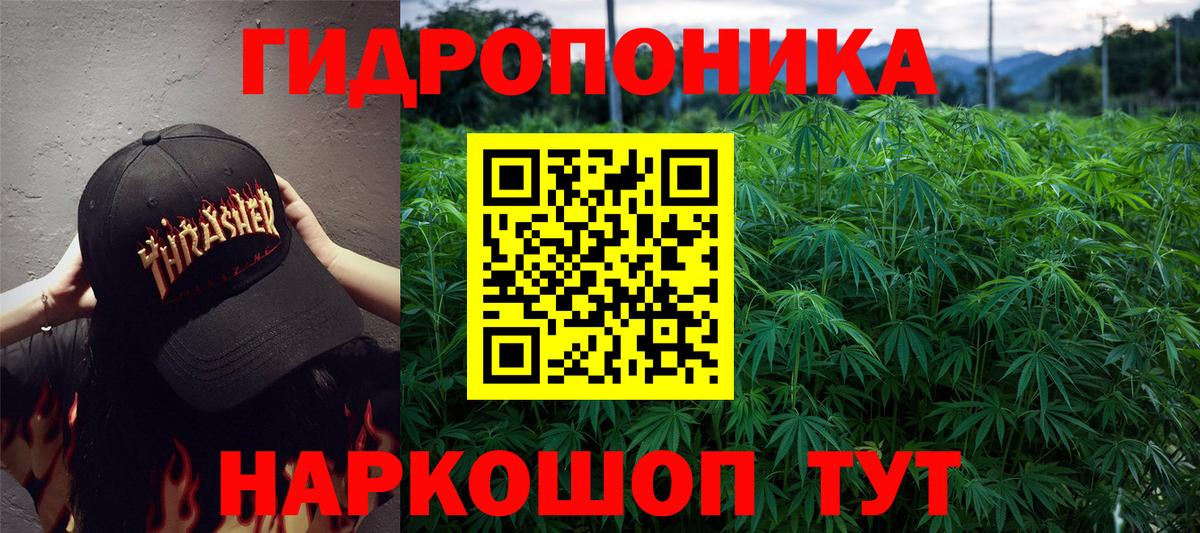 Конопля гибрид Воркута